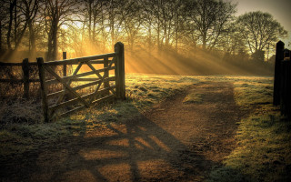 Sunset path gate field trees - the background and sun free wallpaper