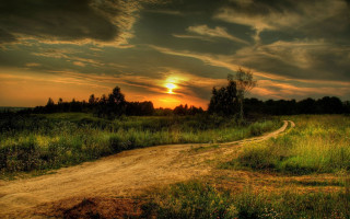 Dirt road grassy field sunset - a grassy field free wallpaper