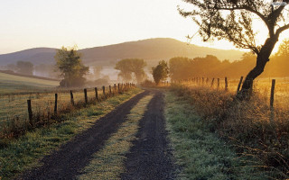 Dirt road fence tree field - a dirt road free wallpaper