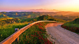 Dirt road hillside flowers sunset - in the foreground free wallpaper