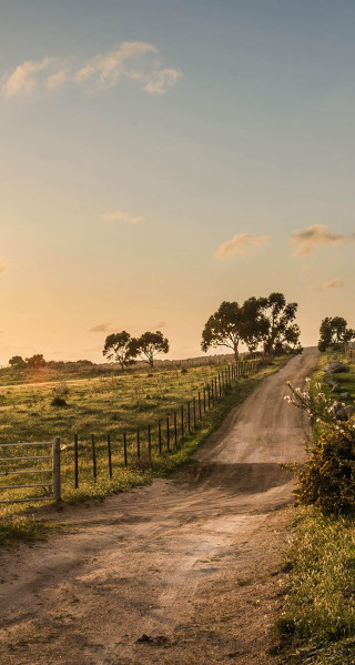 Dirt road fence field sunset - australian tonalism free wallpaper