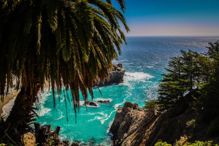 Palm tree ocean rocks blue - a boat free wallpaper