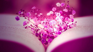 Book flowers cherryblossoms girl branch - in the foreground free wallpaper