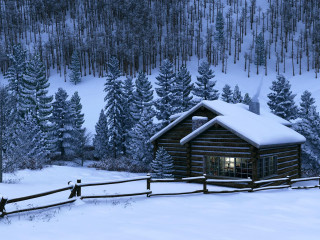 Snowy woodland cabin fence baretrees - unreal free wallpaper