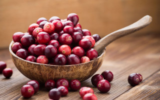 Wooden bowl cranberries wooden spoon - a wooden bowl free wallpaper