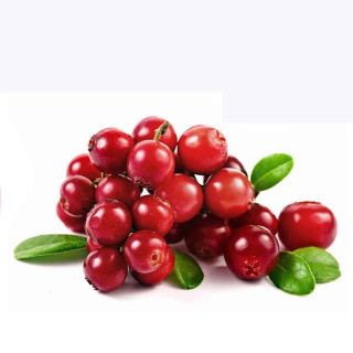 Cranberries leaves white background cranberry - incoherent free wallpaper