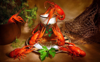 Pitcher lobsters parsley surreal stilllife - surrealism free wallpaper