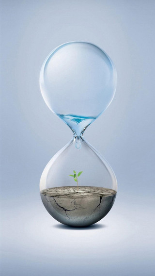 Glass hourglass plant growing inside - ecological art free wallpaper