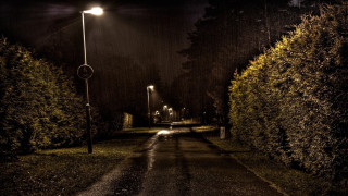 Dark street streetlight night trees - a street light free wallpaper