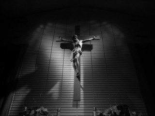 Lit cross flowers dark light - chiaroscuro free wallpaper