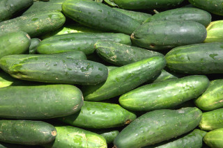 Cucumbers pile tabletop waterdroplets green - water droplet free wallpaper