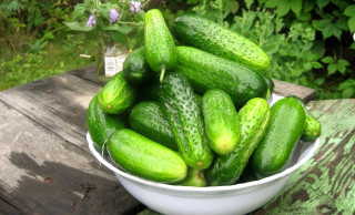 Bowl cucumbers wooden table outdoors - outside free wallpaper
