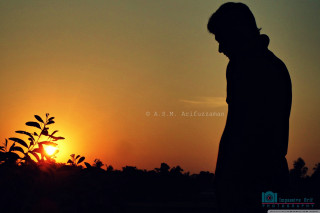 Man sunset silhouette tree standing - a sunset free wallpaper