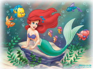 Little mermaid rock fish water - fish free wallpaper