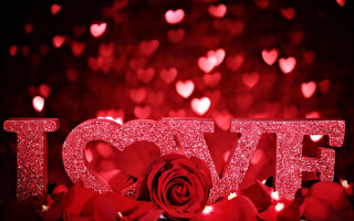 Red rose love sign hearts 5 - felipe seade free wallpaper