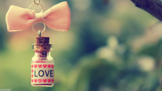 Bottle bow chain tree branch 2 - free love wallpaper