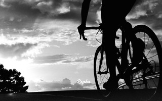Man bike street tree bench - a street next free wallpaper