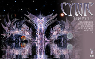 Birds water sky stars digital - cybernetic free wallpaper