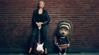 Woman hedgehog guitar standing next - free dogs wallpaper