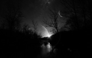 Night sky moon stars trees - a moon free wallpaper
