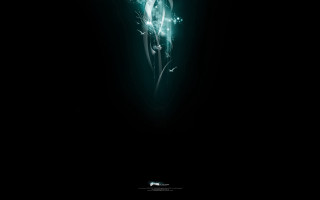 Dark background green white flower - bioluminescence free wallpaper
