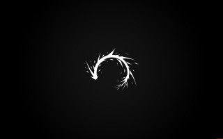 Circular object black white photo - vector curve free wallpaper