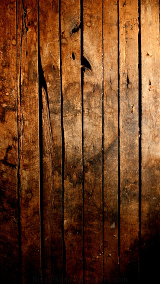 Wooden wall bird shadow above - a shadow free wallpaper