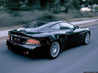 Black sports car driving forest - a forest of trees and bushes free wallpaper