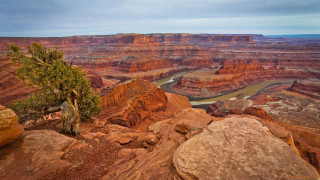 Tree rock river desert nature - ansel adams free wallpaper