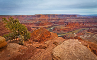 Tree rock canyon river cloudy - ansel adams free wallpaper