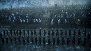 People field horses man group - the middle of the field free wallpaper