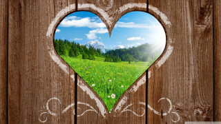 Heart shaped window grass trees - window free wallpaper for desktop
