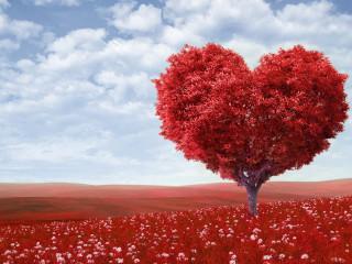Heart shaped tree field flowers - a heart free wallpaper