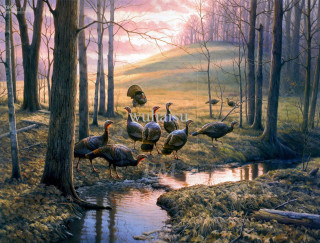 Man geese forest stream ducks - a painting of a man free wallpaper