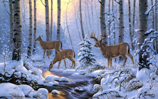 Deer snowy forest stream sunset - a stream free wallpaper
