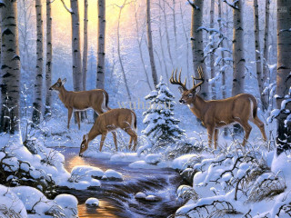 Deer snowy forest stream sunset 2 - a stream free wallpaper
