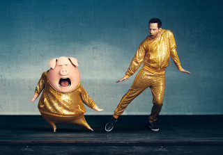 Gold man pig gold man - a pig free wallpaper
