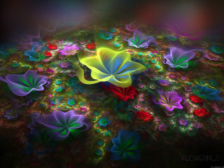 Colorful flower psychedelic butterfly glowing - anton graff free wallpaper
