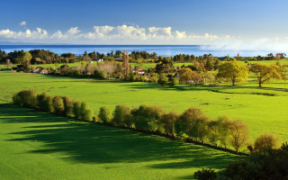 Lush green field trees water - tree and a body of water free wallpaper