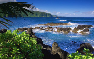 Rocky beach boat trees blue - rocky free wallpaper