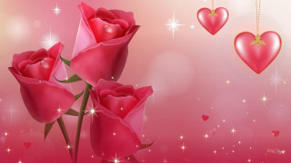 Pink background three roses hearts - felipe seade free wallpaper