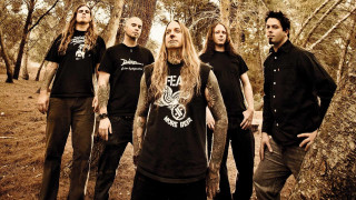 Men forest long hair piercings - a forest free wallpaper