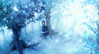 Person sitting forest book hand - forest free wallpaper