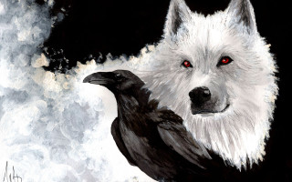 Wolf bird red eyes black - symbolism free wallpaper