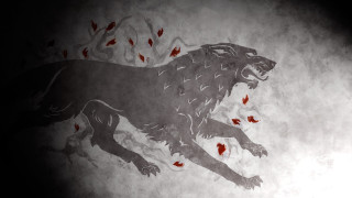 Lion red spots drawing face 2 - red spot free wallpaper