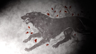 Lion red spots face tail - red spot free wallpaper