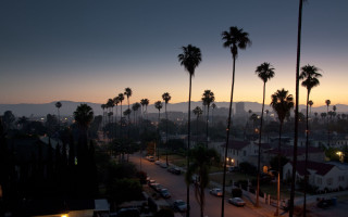 City street palm trees sunset - elbridge ayer burbank free wallpaper
