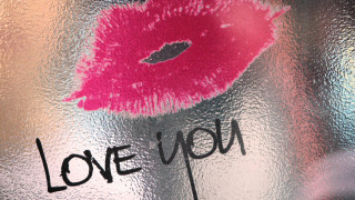 Frosted glass pink flower love - the glass free wallpaper