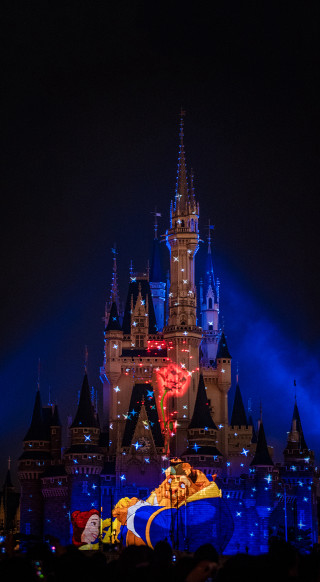 Castle lit up night flag - free new year wallpaper