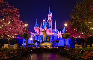 Castle night statue trees lights - a statue in front free wallpaper